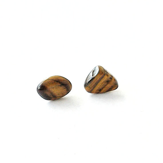 Tigers Eye Stud Earrings